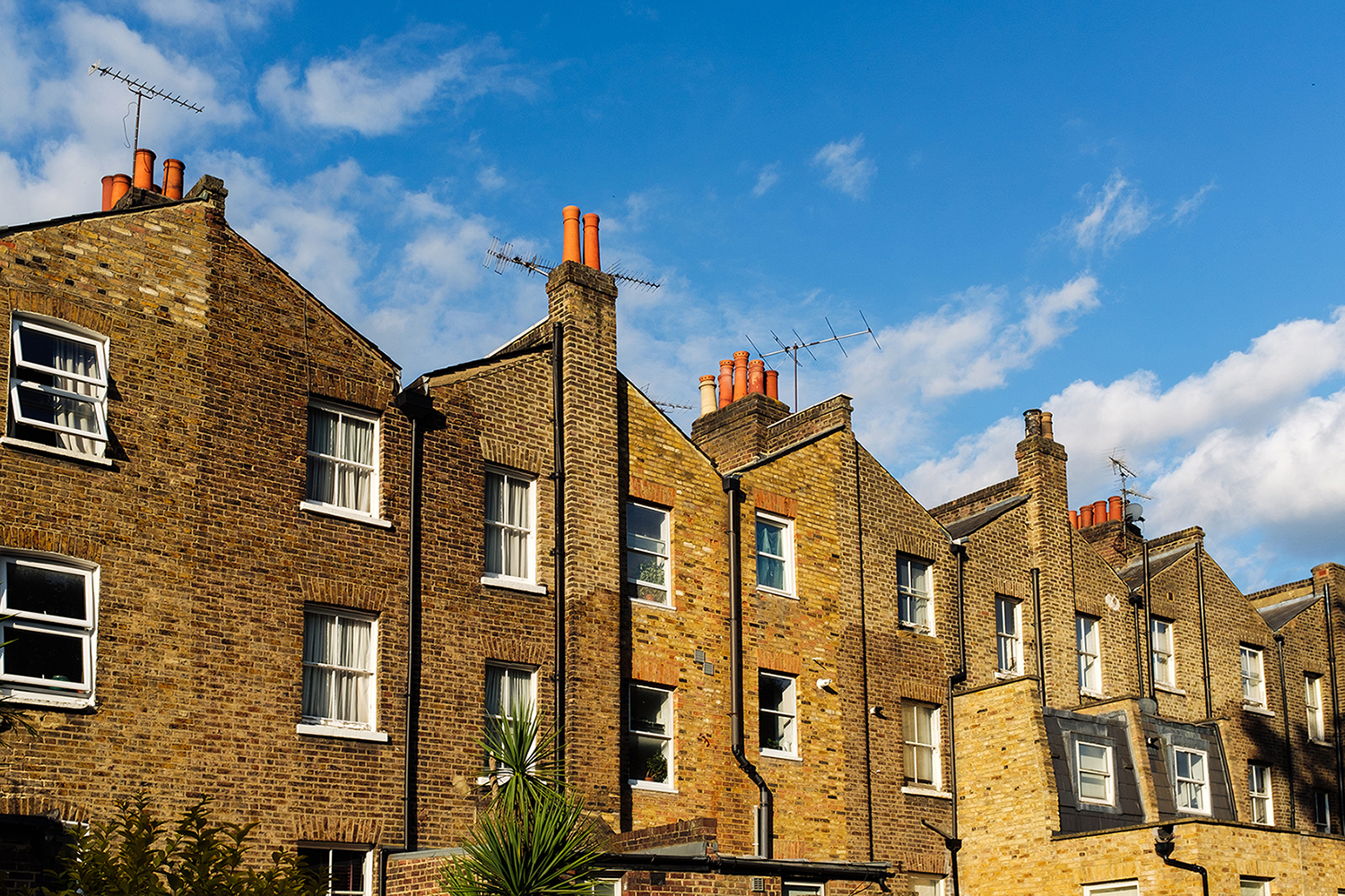 Terraced roofs in newhaven